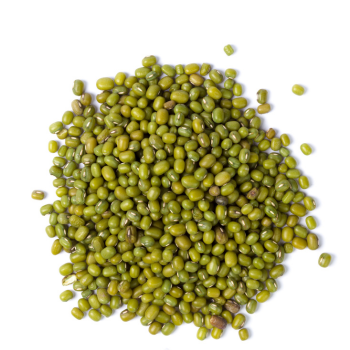 Premium FitTree International Whole Moong Beans