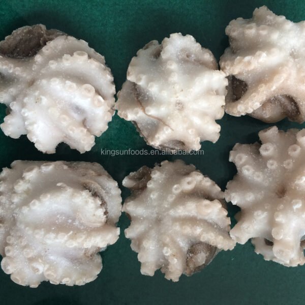 Premium Frozen Baby Octopus Tender Bite