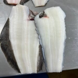 Premium Frozen Greenland Halibut Greenland Turbot