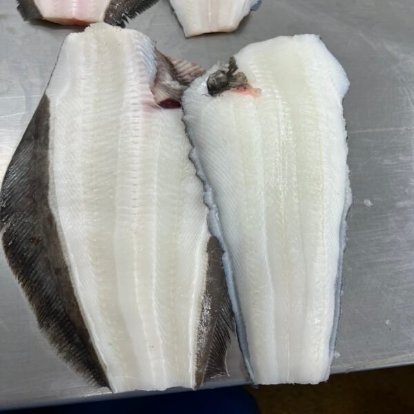 Premium Frozen Greenland Halibut Greenland Turbot Premium Frozen Greenland Halibut Greenland Turbot