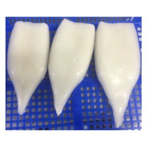 Premium Frozen Pompano Fish Whole Round