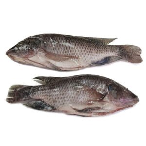 Premium Frozen Tilapia GS Gutted Scaled