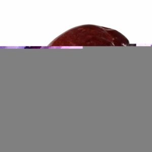 Premium Good Price Frozen Beef Liver