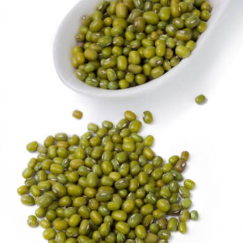 Premium Green Mung Beans Whole Moong