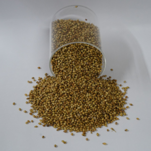 Premium Indian Coriander Whole Seeds Vacuum