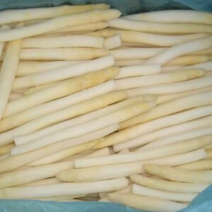 Premium IQF Frozen White Asparagus Spears