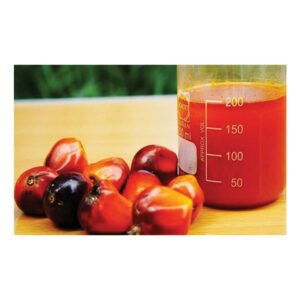 Premium Organic Refined Fractionated Palm Oil