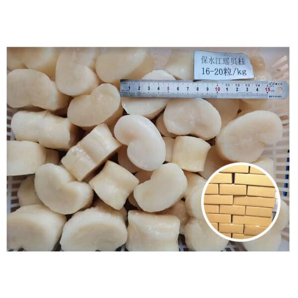 Premium Quality Frozen Formed Scallop Meat Premium Quality Frozen Formed Scallop Meat