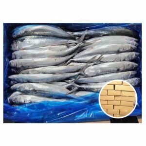 Premium Quality King Fish WR Frozen