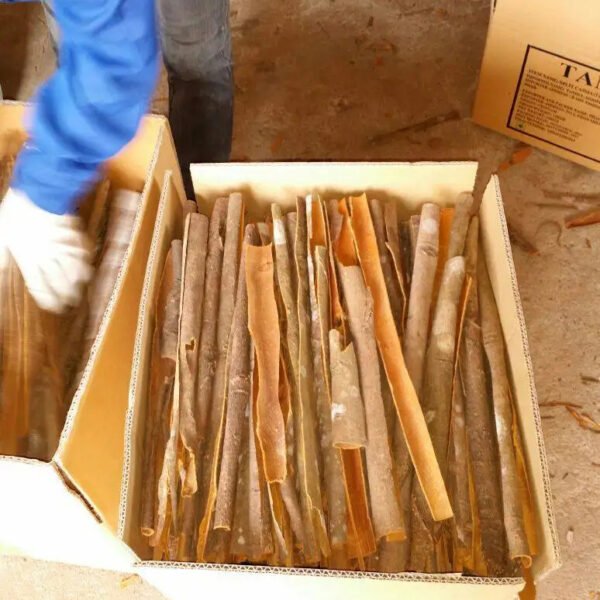 Premium Quality Split Cassia Cinnamon Dried