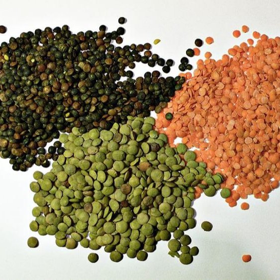 Premium Quality Split Red Lentils Red