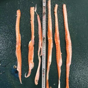 Premium Seafood Frozen Atlantic Salmon Belly