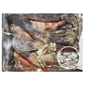 Premium Wholesale Frozen Giant Squid Whole