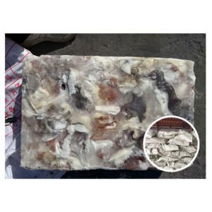 Processed Peru Source Cut Opened Calamari