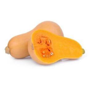 Pumpkin Butternut — premium quality