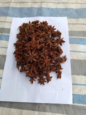 Pure Natural Star Anise for Spice