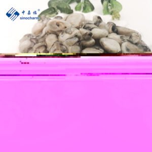 Quality Frozen Shellfish Oyster Meat IQF
