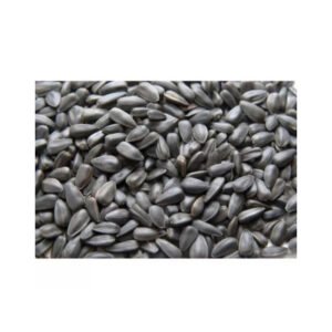 Raw wholesale striped sunflower seeds black