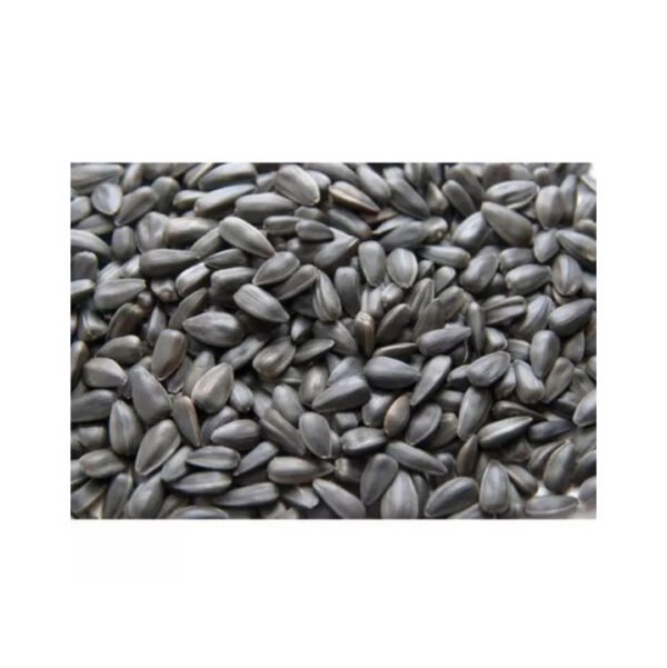 Raw wholesale striped sunflower seeds black