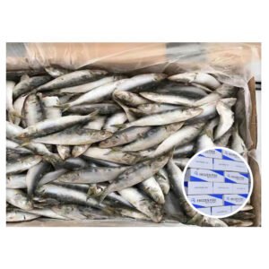 Ready Ship En Conserve Ligo Ikan