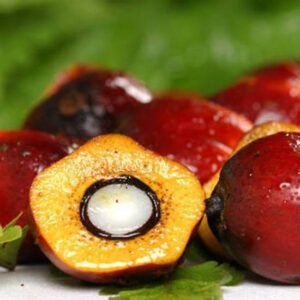 RED CRUDE PALM OIL Premium Grade