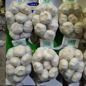 Red Garlic Suppliers for Wholesale in