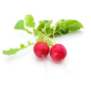 Red Radish Netherlands 125g Pack — premium quality
