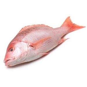 Red Snapper Hamra Chempalli Whole Cleaned 1kg — premium quality