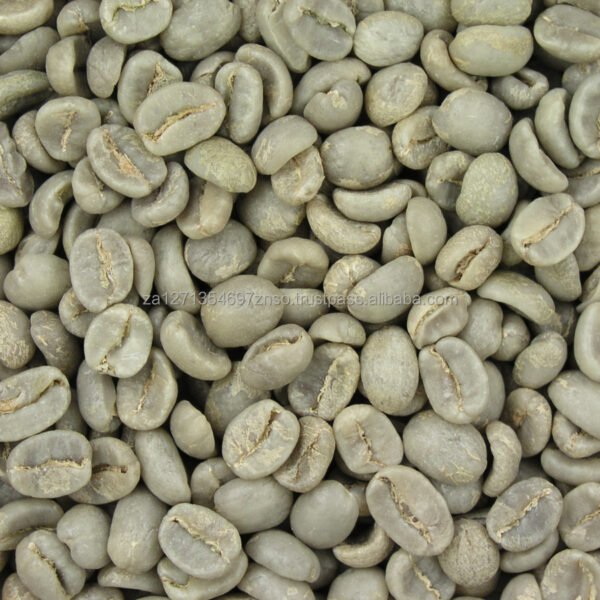 Robusta Coffee Beans Green Roasted Grade