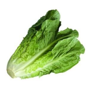 Romaine Lettuce 500g — premium quality