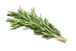 Rosemary 45g — premium quality
