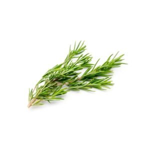 Rosemary Kenya 50g Pack — premium quality