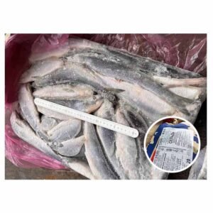 Russia Origin Supplying Available Size 200