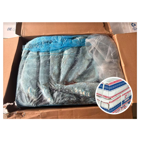 Russia Origin Whole Round Frozen Herring