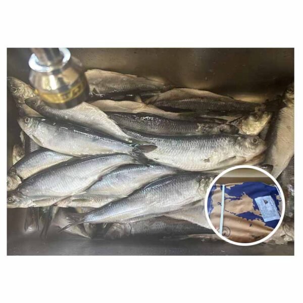 Russia Original Bag Packed 20kg 200 Russia Original Bag Packed 20kg 200