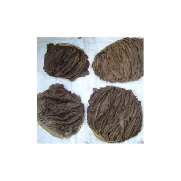 Salted Dried Frozen Beef Omasum Sweetbread Salted Dried Frozen Beef Omasum Sweetbread