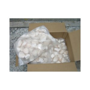 Scallop Meat