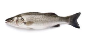 Sea Bass Quot Loup De Mer Quot Whole Cleaned 500g Qualityfoo — premium quality