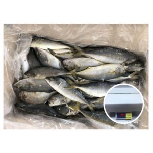Sea Catch Fresh Seafood Frozen Fish
