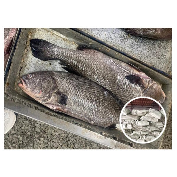 SEA CAUGHT QUALITY FARMING FRESH FISH SEA CAUGHT QUALITY FARMING FRESH FISH