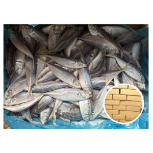 Sea Frozen Good Quality 16CM Trachurus
