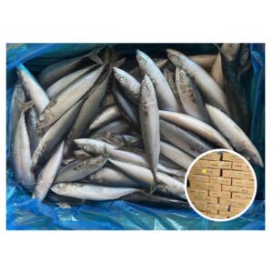 Seadream Brand Zhejiang Mackerel Fish 70