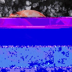 Seafood Fresh Frozen Red Tilapia Red