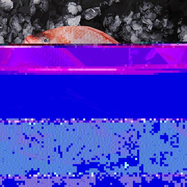 Seafood Fresh Frozen Red Tilapia Red Seafood Fresh Frozen Red Tilapia Red