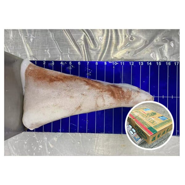 Seafood Frozen Peru Giant Squid Skin Seafood Frozen Peru Giant Squid Skin