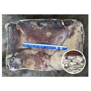 Seafood Supplier BQF Frozen Giant Squid