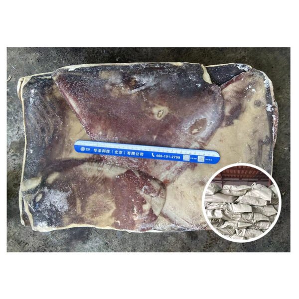 Seafood Supplier BQF Frozen Giant Squid