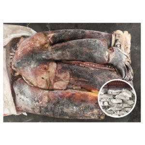 Seafrozen Calamari Squid Dosidicus Gigas Peru