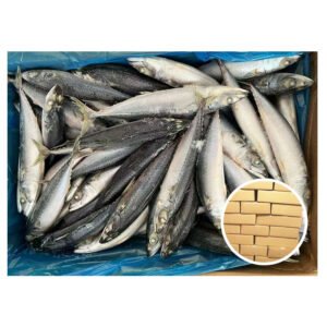 Seafrozen Pacific Mackerel Frozen IQF Bulk