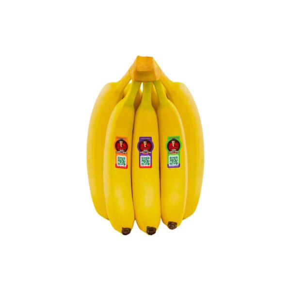 Sebastiano Banana Ecuador 5 6 Pieces 1kg Sebastiano Banana Ecuador 5 6 Pieces 1kg — premium quality